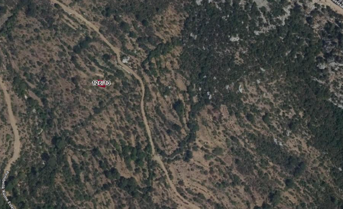 Fotoğraf